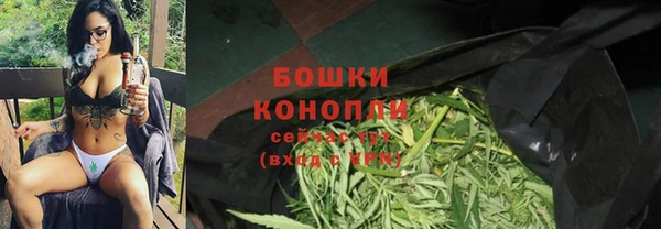 бошки Алексин