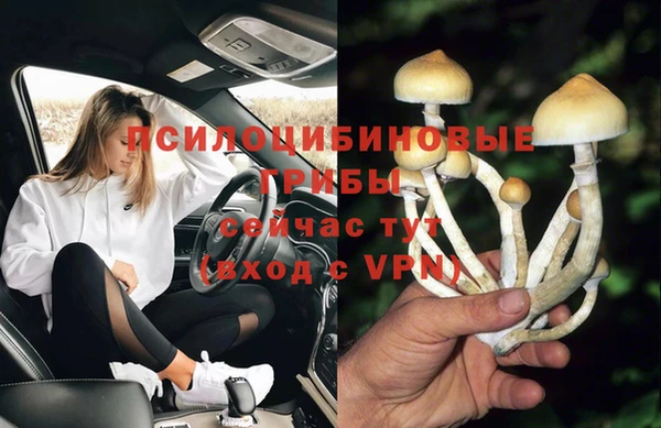бошки Алексин